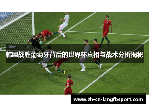 韩国战胜葡萄牙背后的世界杯真相与战术分析揭秘