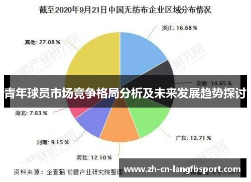 青年球员市场竞争格局分析及未来发展趋势探讨 青年球员市场竞争格局分析及未来发展趋势探讨