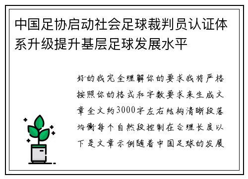 中国足协启动社会足球裁判员认证体系升级提升基层足球发展水平 中国足协启动社会足球裁判员认证体系升级提升基层足球发展水平